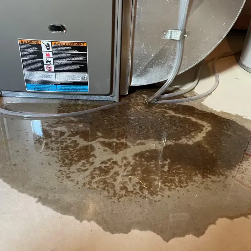 Appliance Leak Cleanup in Bernie, MO